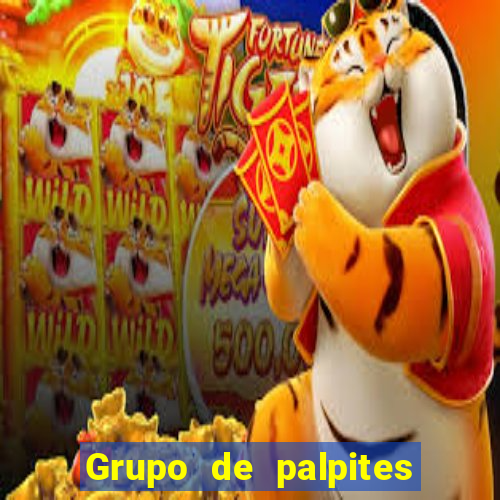 Grupo de palpites de futebol gratis